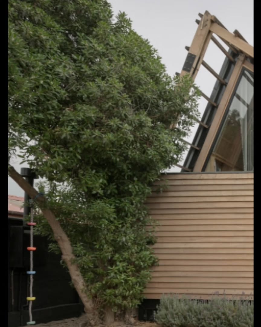 Fachada de madera junto a un árbol